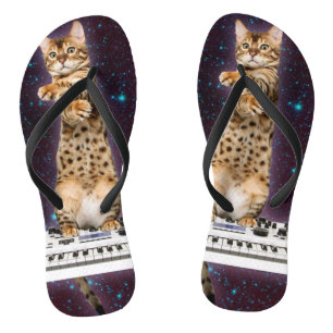 cat strikes again flip flops