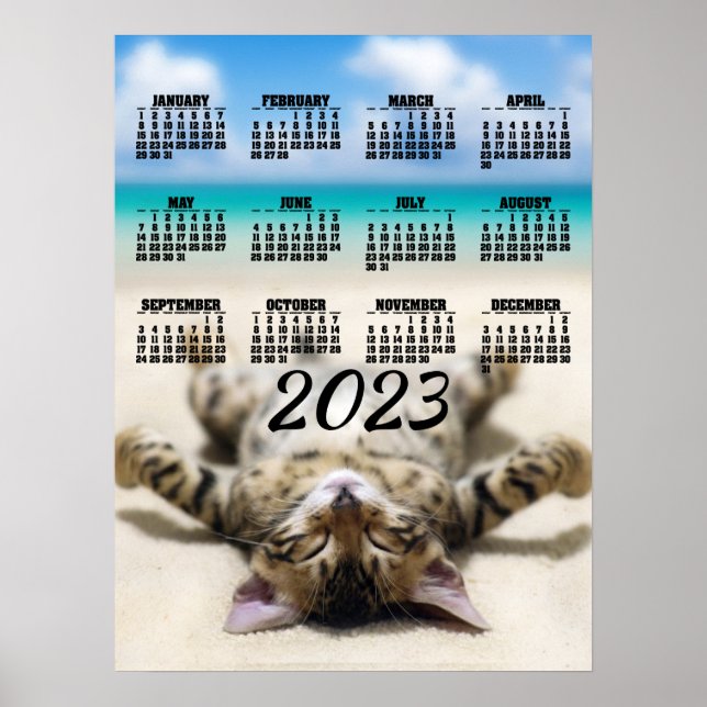 Cat Sunbathing at the Beach 2023 Calendrier Poster (Devant)