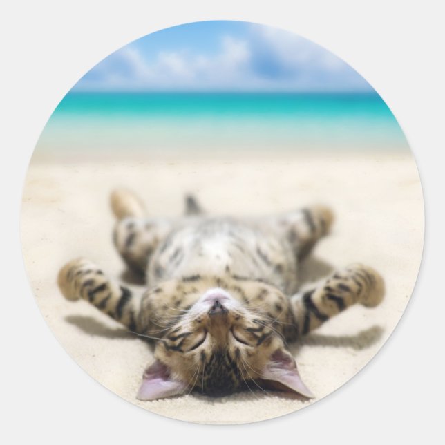 Cat Sunbathing at the Beach  Classic Round Sticker (Front)