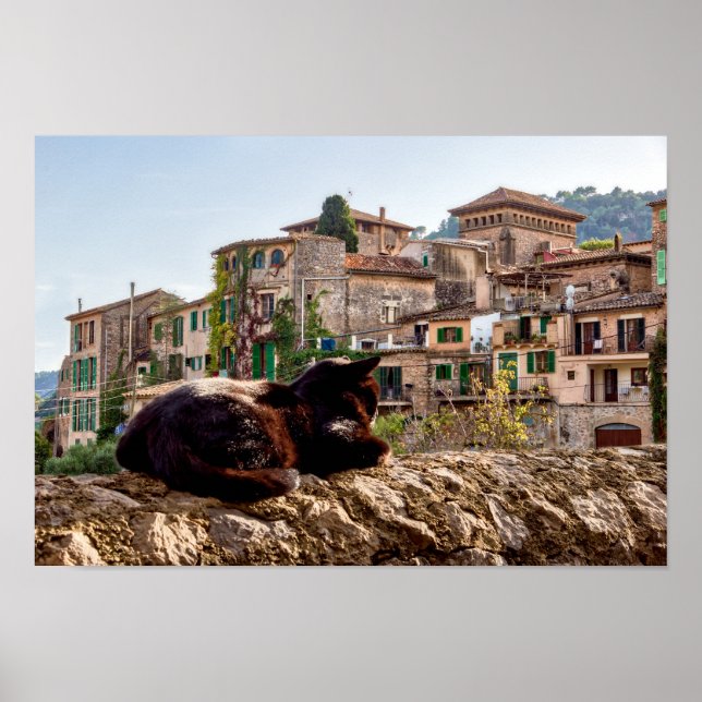 Cat sunbathing on a wall - Valldemossa, Mallorca Poster (Front)