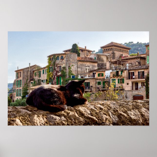 Cat sunbathing on a wall - Valldemossa, Mallorca Poster (Front)