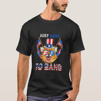 Cat Sunglasses Just Here To Bang  Fireworks 4th Of T-Shirt