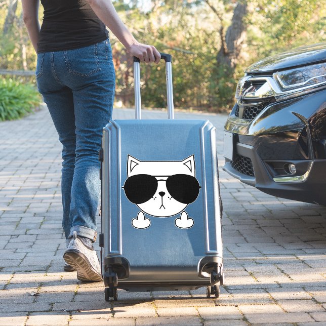 Cat Sunglasses Middle Finger (Suitcase Insitu)