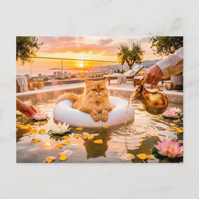 Cat Sunset Spa Pool Serenity Postcard (Front)