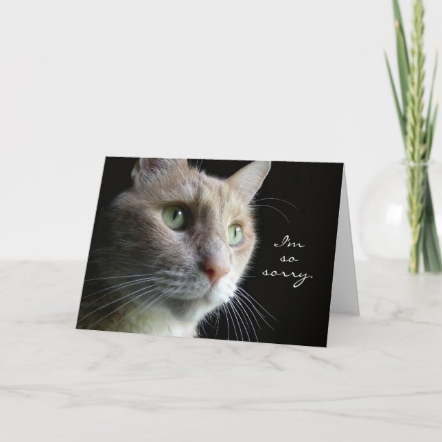 Cat Sympathy Card (Front)