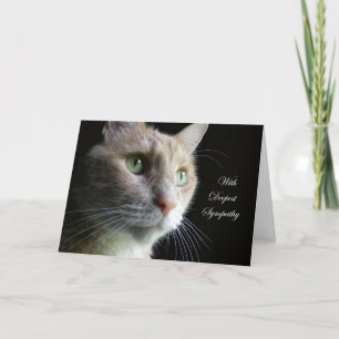 Cat Sympathy Card