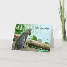Cat Sympathy Card
