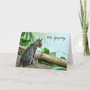Cat Sympathy Card