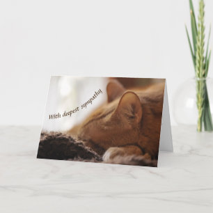 Cat sympathy card