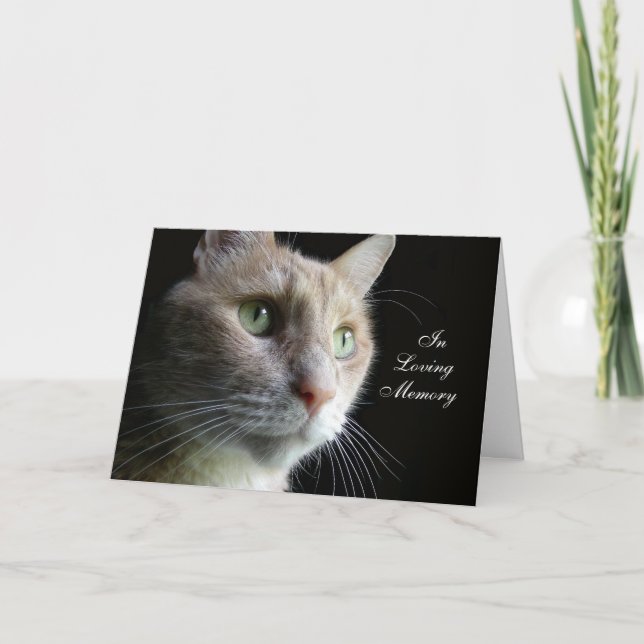 Cat Sympathy Card (Front)