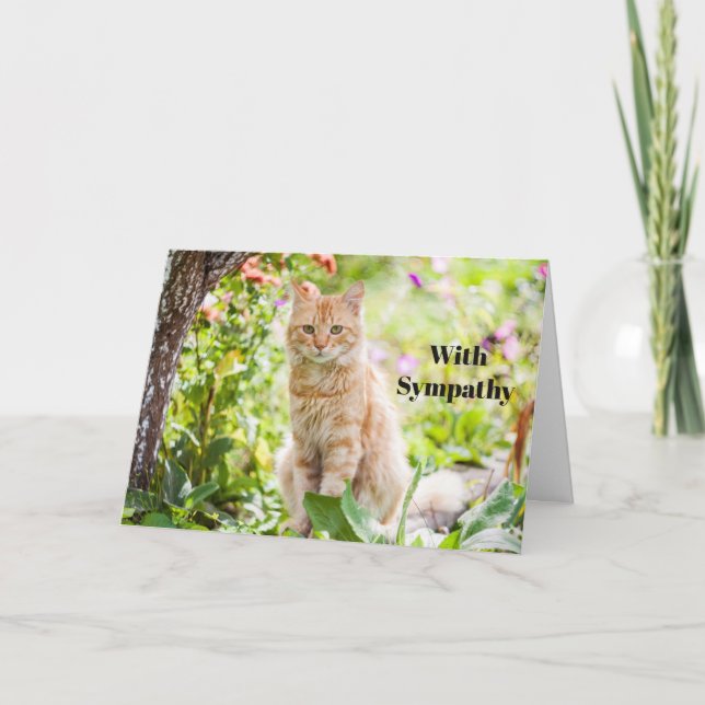Cat Sympathy Card Personalized Pet Memorial  (Front)