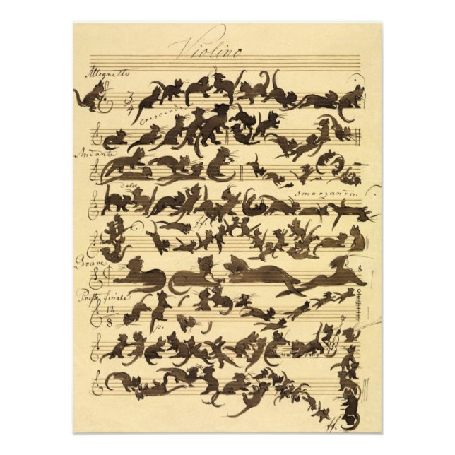 Cat Symphony by Moritz von Schwind Photo Print (Front)