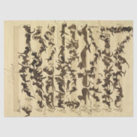 Cat Symphony by Moritz von Schwind
