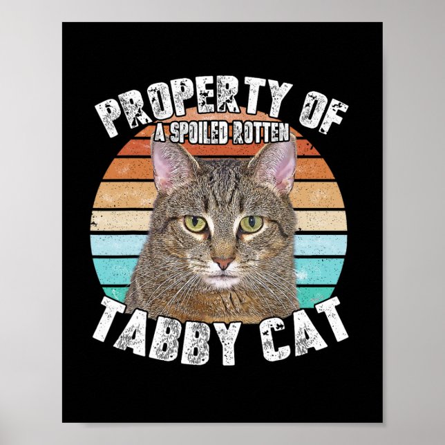 Cat Tab Funny Cat Lover Gifts For Men  Poster (Front)