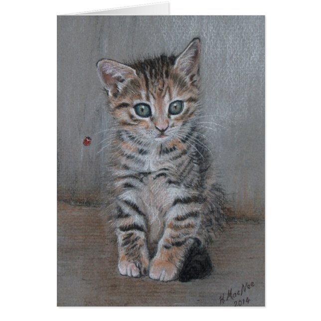 Cat, tabby kitten, just posing, fine art. (Front)