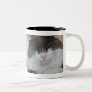 Cat Tail Lesson Learned Two-Tone Coffee Mug