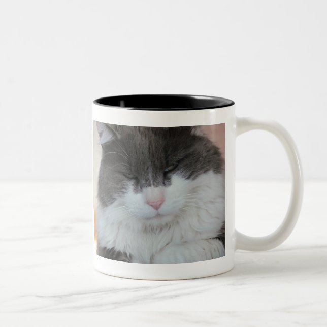 Cat Tail Lesson Learned Two-Tone Coffee Mug (Right)