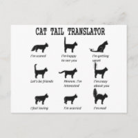 CAT TAIL TRANSLATOR