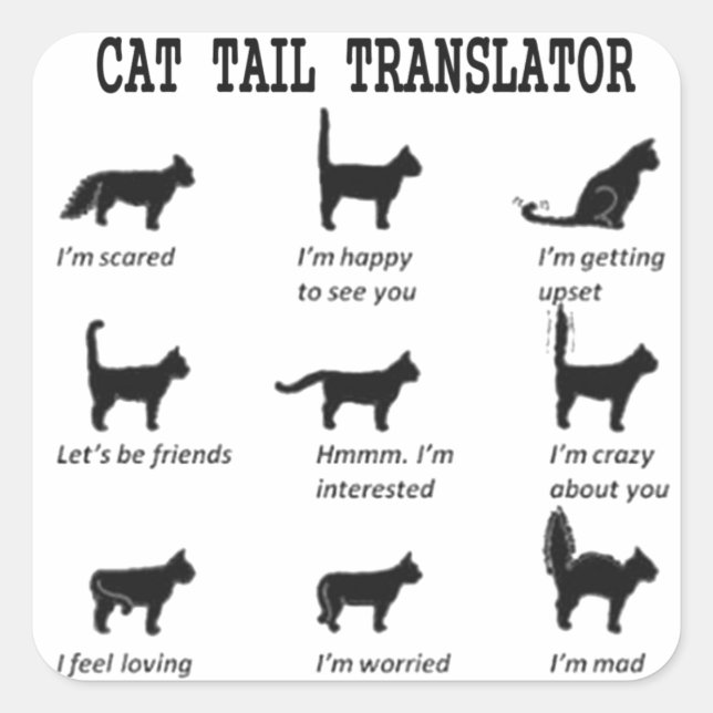CAT TAIL TRANSLATOR SQUARE STICKERS (Front)