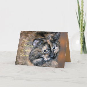 Cat Tazzie-customize any occasion Card