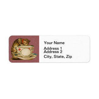 Cat Teacup Cute Vintage Victorien