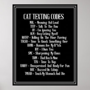 Cat Texting Codes Humor Poster