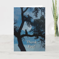 Cat Thank You Card for Vet, Veterinarian Service