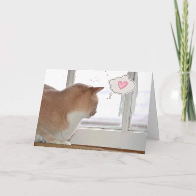 Cat Thinking of You  Card (Front)