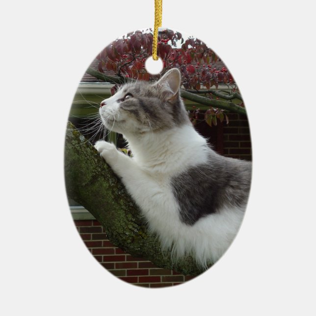 Cat Thoughts Ceramic Ornament (Front)