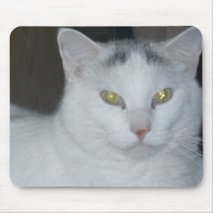 Cat Thoughts White Cat Mouse Pad