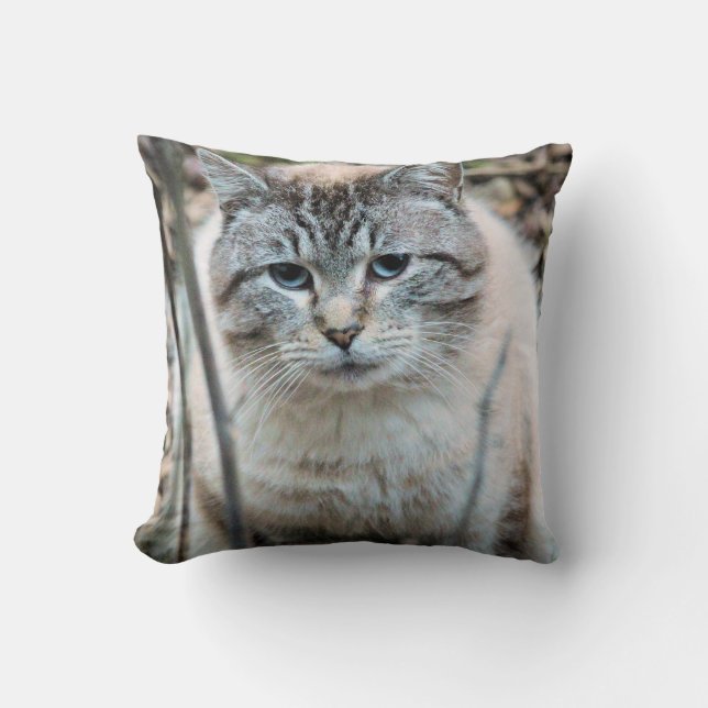 Cat Throw Pillow (Front)