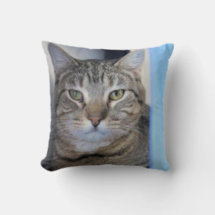 Cat Throw Pillow