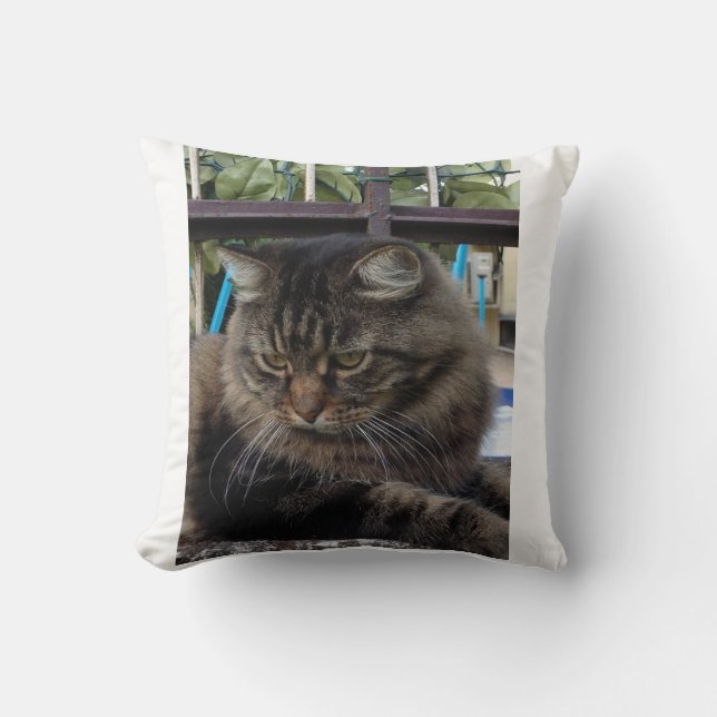 Cat Throw Pillow (Front)