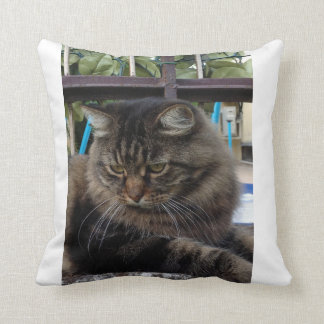 Cat Throw Pillow