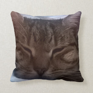 Cat Throw Pillow