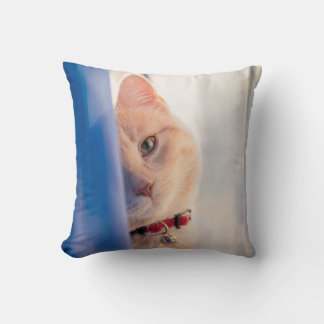 Cat throw pillow