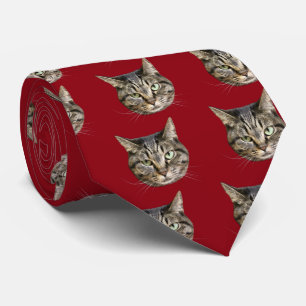cat tie