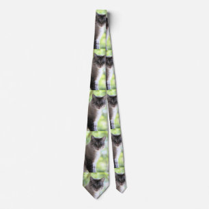 Cat Tie
