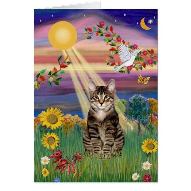 Cat (Tiger) - Autumn Sun (Front)