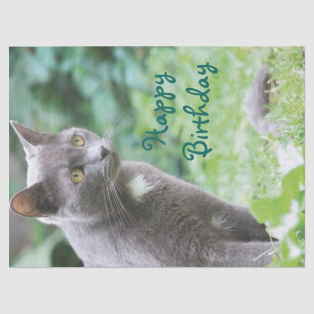 Cat Tissue Paper (Front)