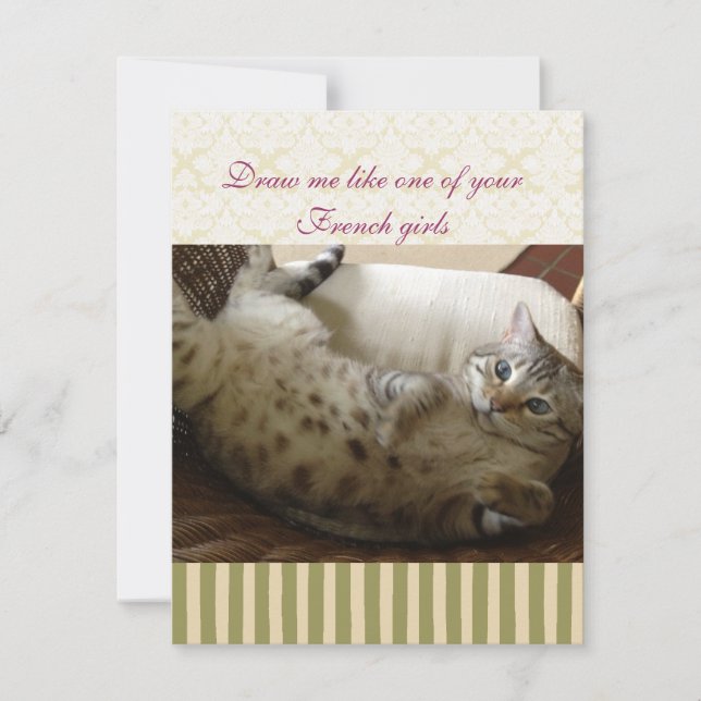 Cat Titanic Quote Brocade Stripe Notecard (Front)