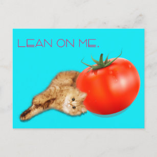 Cat & Tomato Postcard /　猫＆トマト　ポストカード