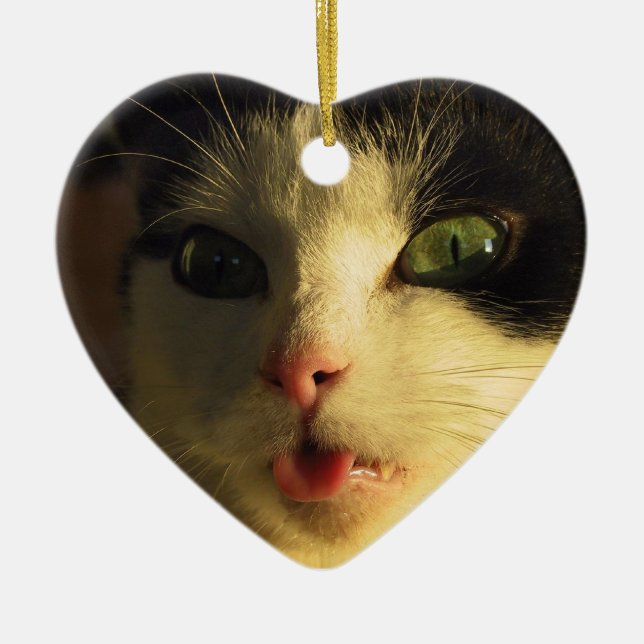 Cat Tongue Ceramic Ornament (Front)