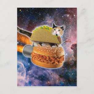 Cat travelling on a rocketburger postcard