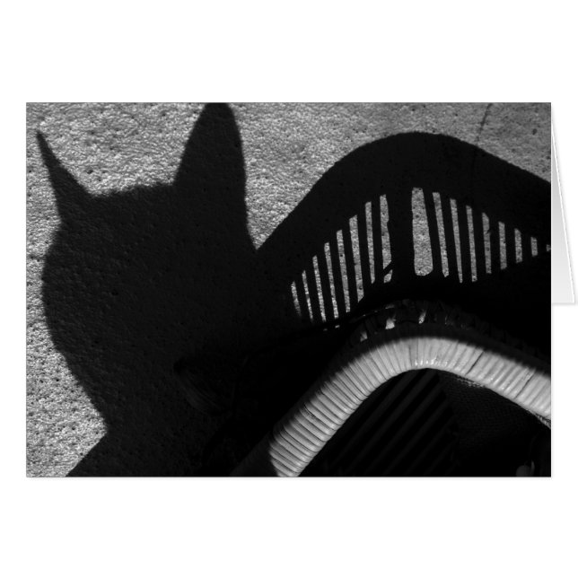 Cat Tray (Front Horizontal)