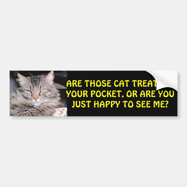 Cat Treats in Your Pocket? MEME Bumper Sticker (Front)