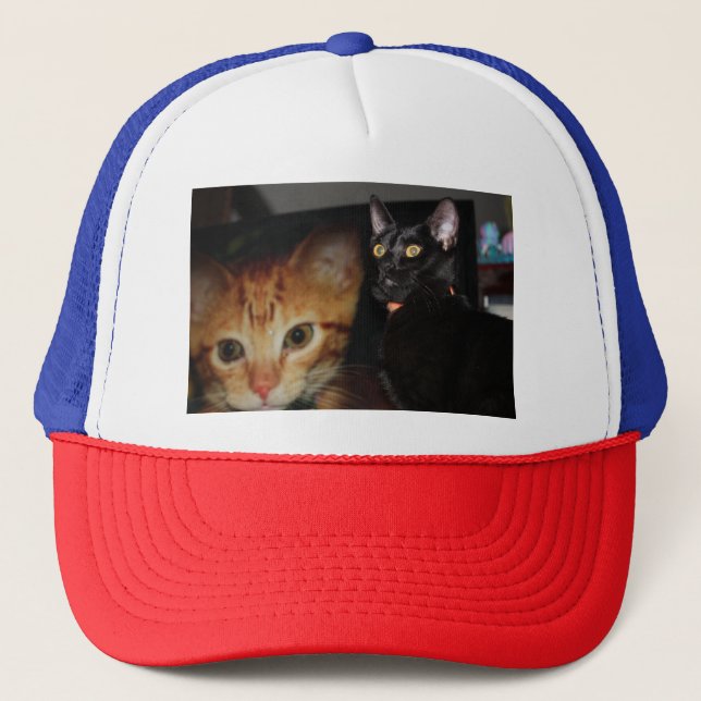 Cat Trucker Hat (Front)
