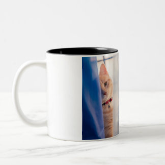 Cat Two-Tone Coffee Mug