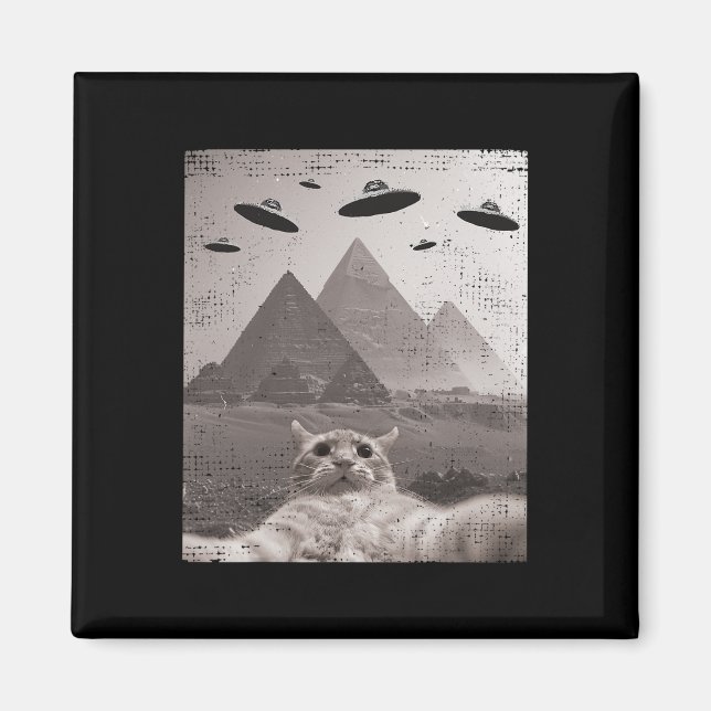 Cat Ufo Meme - Funny Cat Selfie With Ufos  Magnet (Front)