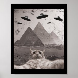 Cat Ufo Meme - Funny Cat Selfie With Ufos  Poster